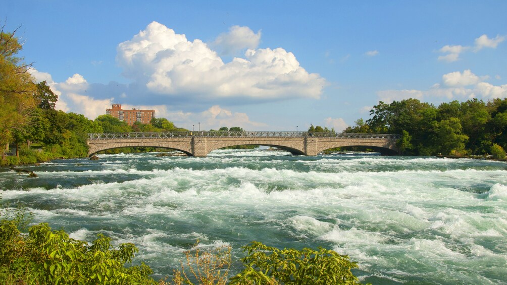 Niagara Falls Day Trip from Washington D.C. by Air