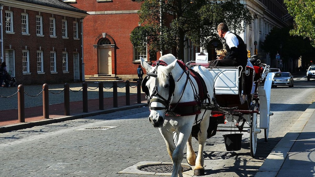 A horse drawn carriage ride through Philadelphia 