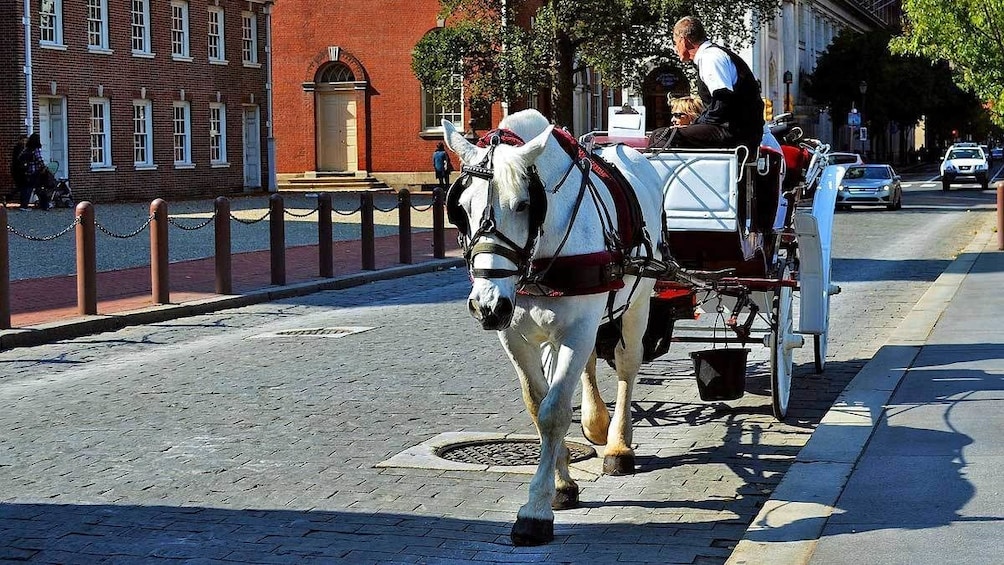 riding on a horse drawn carriage in Philadelphia
