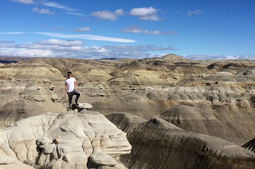 Petrified Forest Tour with Lunch