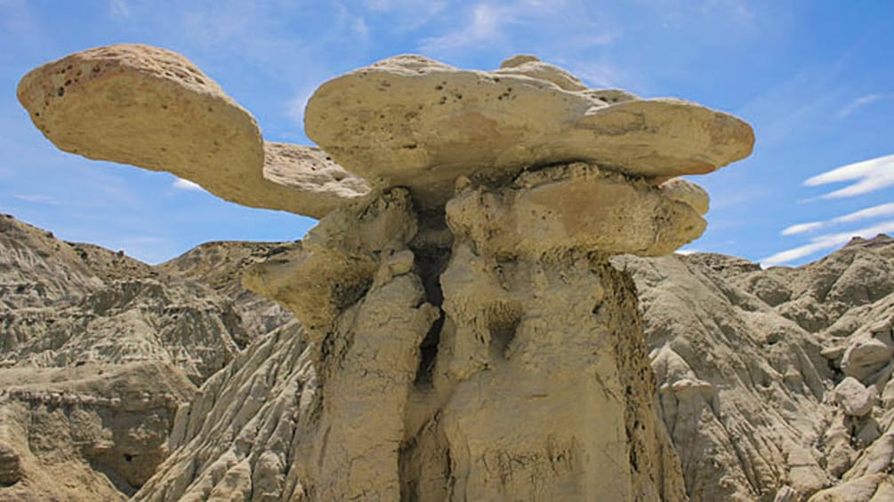Landscape view of petrified rock formations.