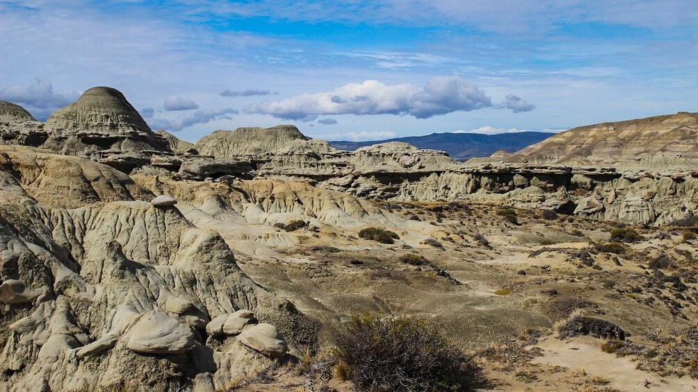 Landscape view of petrified rock formations.