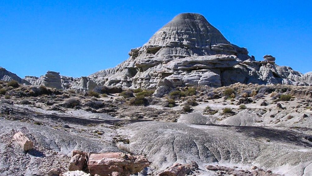 Landscape view of petrified rock formations.