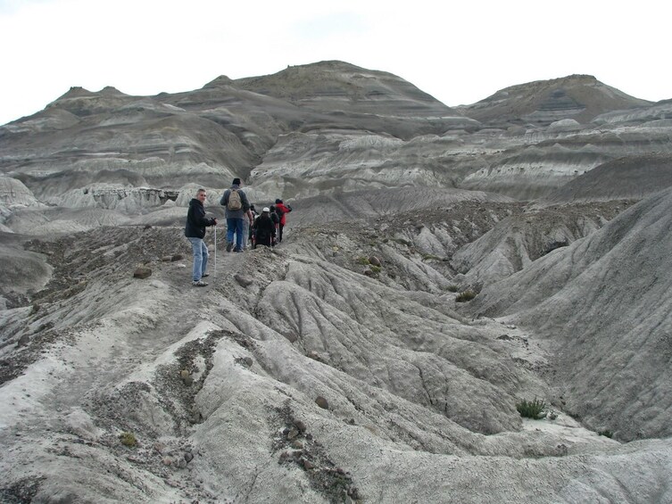 Petrified Forest Tour with Lunch