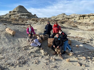 Versteinerter Wald Tour mit Mittagessen ab El Calafate