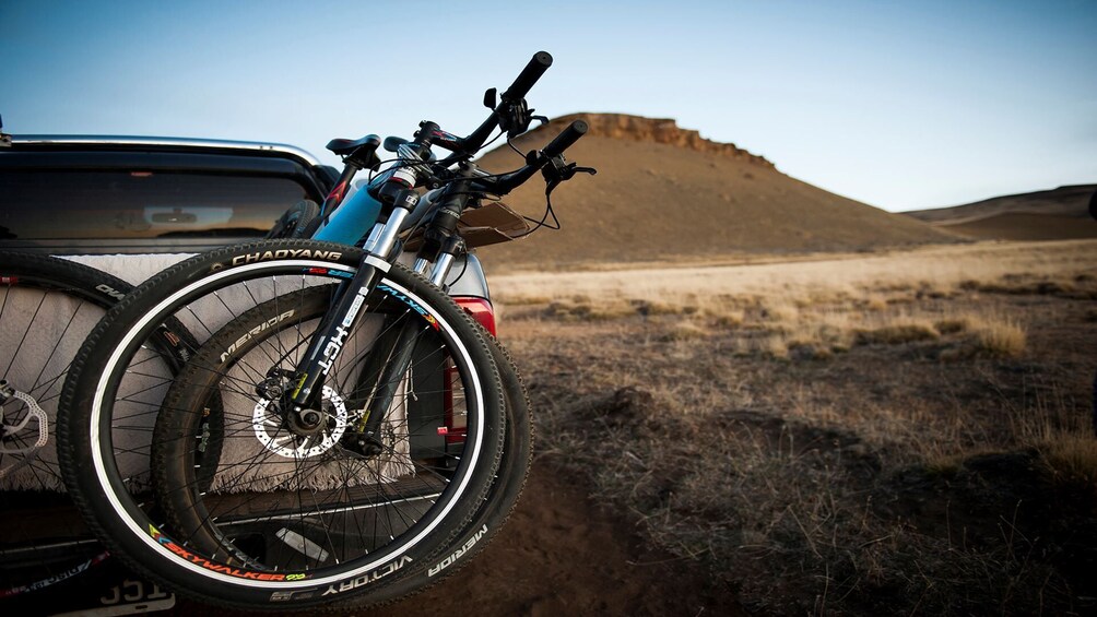 Patagonia Bike Safari: Wilderness & Wildlife