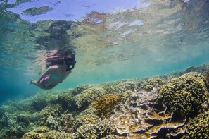 Kane'ohe Bay Guided Kayak & Snorkel Adventure