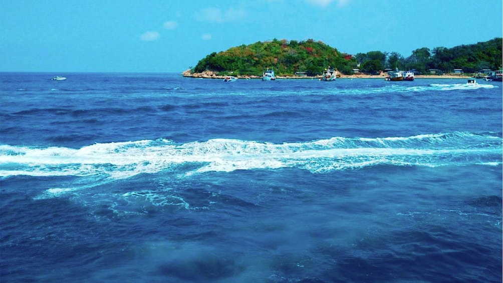 Show item 2 of 5. Beautiful blue water of Coral Island