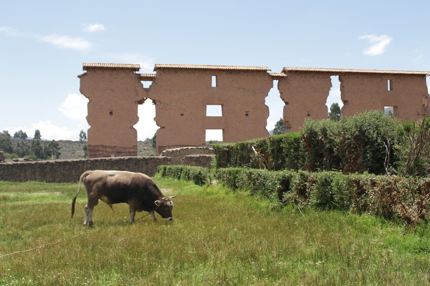 Cusco to Puno Shuttle & Guided Tour with Lunch