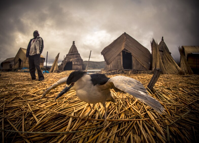 Uros Floating Islands Half-Day Boat Tour