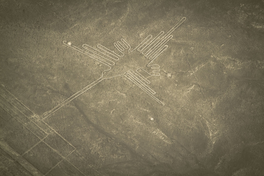 Nazca Lines Flying Tour from Pisco