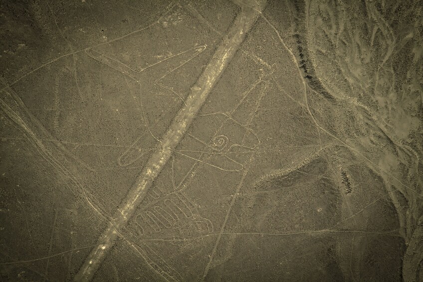 Nazca Lines Flying Tour from Pisco