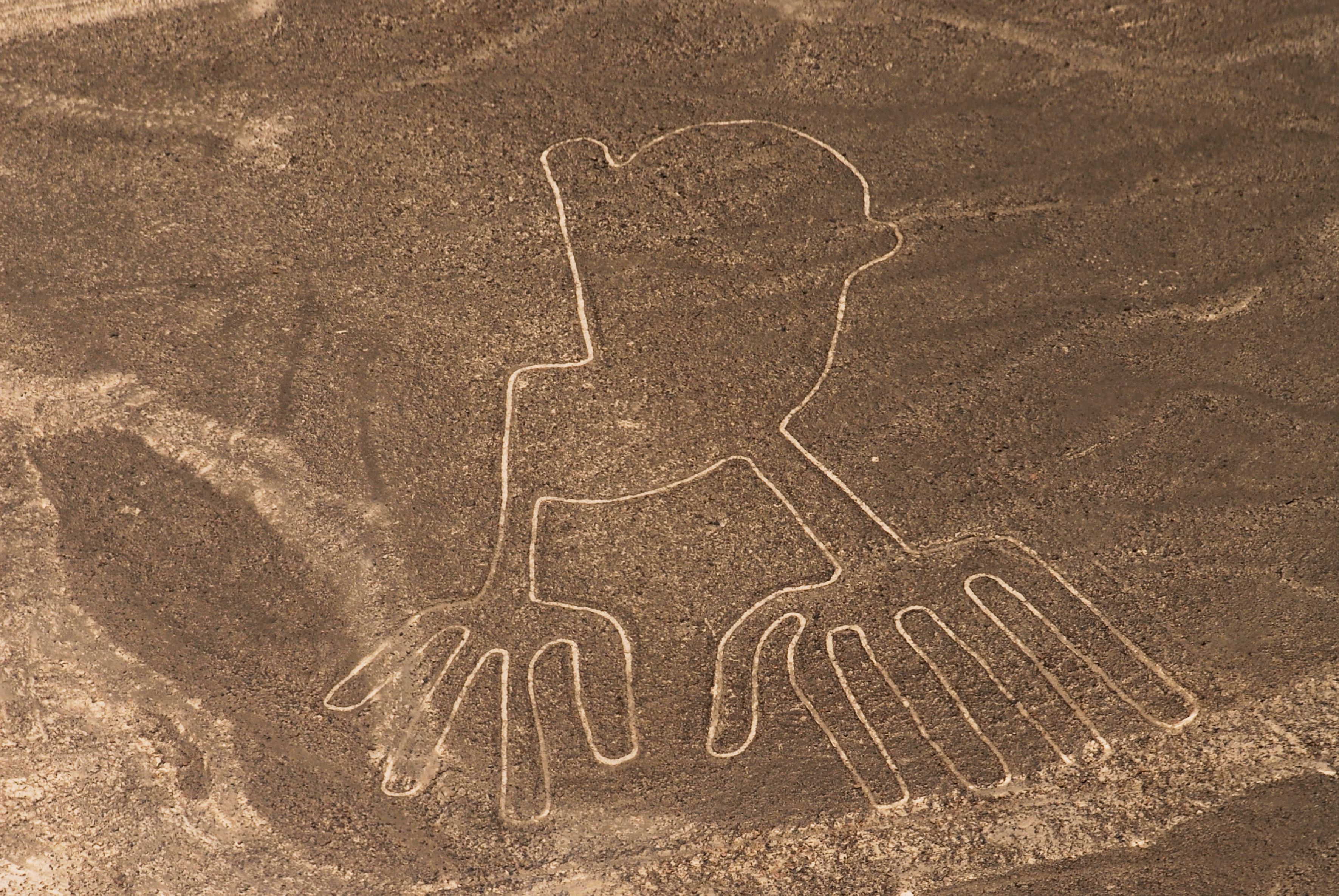 Nazca Lines Flying Tour from Pisco