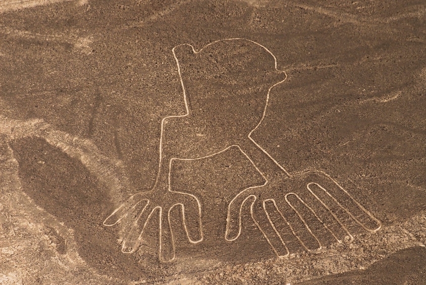 Nazca Lines Flying Tour from Pisco