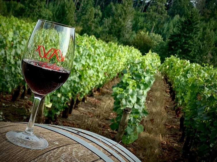 Willamette Valley Wine tasting Tour from Portland