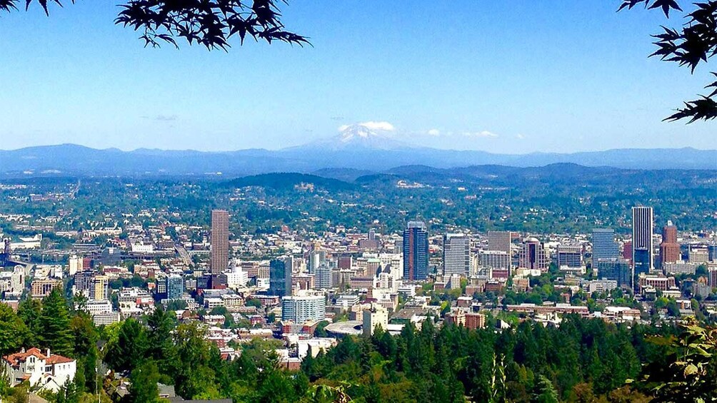 Panoramic aerial view of Portland