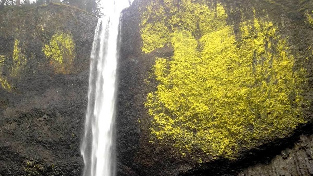 Multnomah Falls in Portland