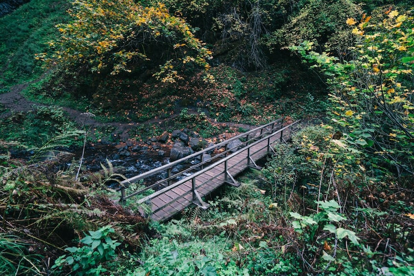 Half-Day Multnomah Falls & Gorge Waterfalls Tour