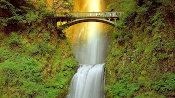 Halbtägige Tour zu den Multnomah Falls und den Gorge Falls