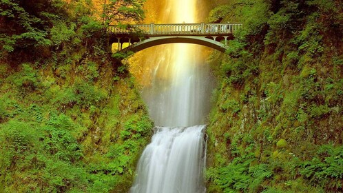 Half-Day Multnomah Falls & Gorge Waterfalls Tour