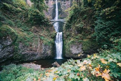Halvdags Multnomah Falls & Gorge Waterfalls Tour