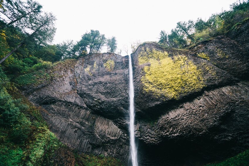 Half-Day Multnomah Falls & Gorge Waterfalls Tour