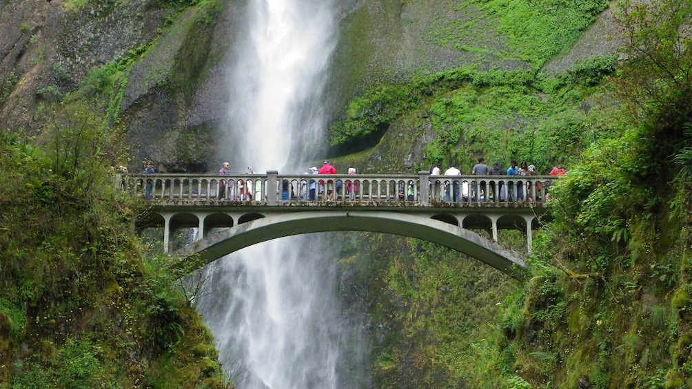 Multnomah Falls in Portland 