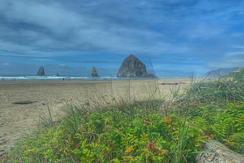 Full-Day Northern Oregon Coast Tour