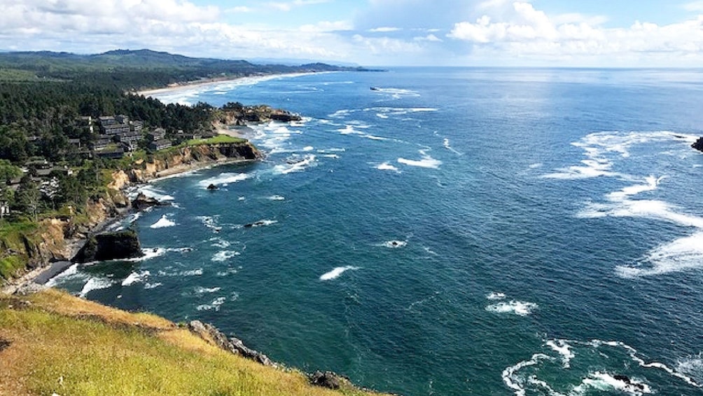 View of coastal cliffs from bluff in Oregon