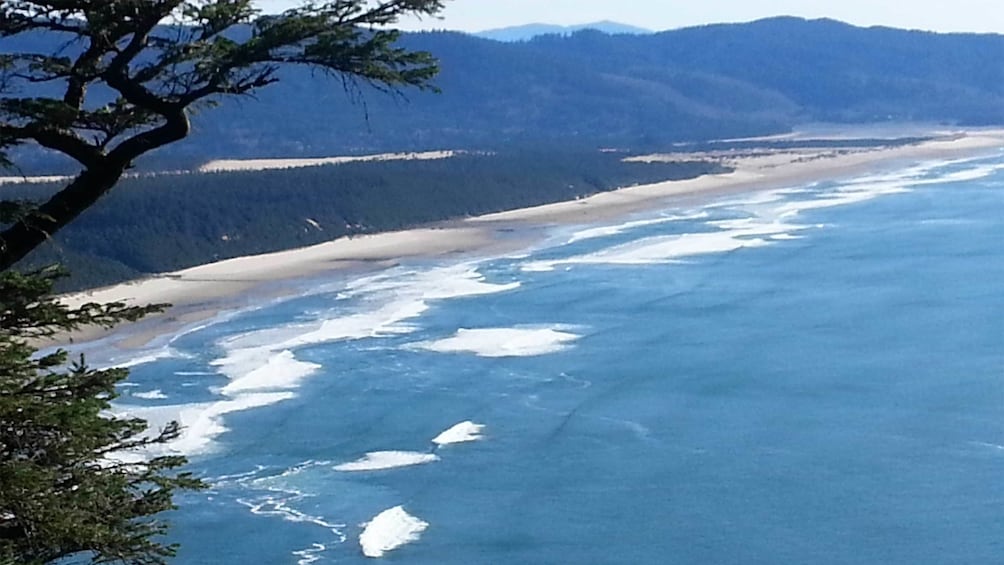 Aerial view of the Oregon Coast 