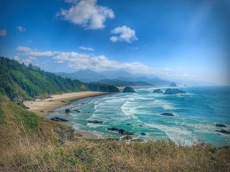 Full-Day Northern Oregon Coast Tour