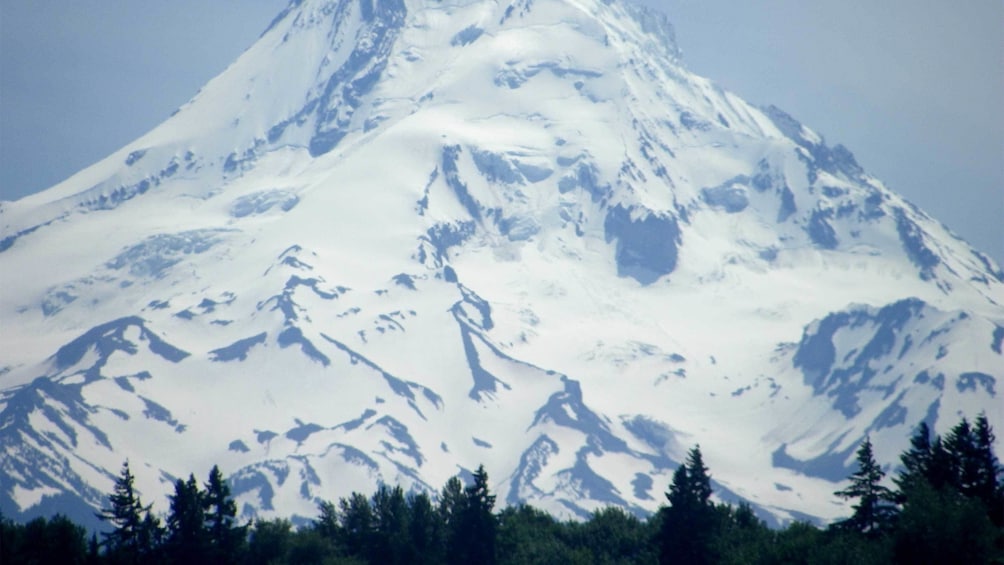 View of Mt. Hood