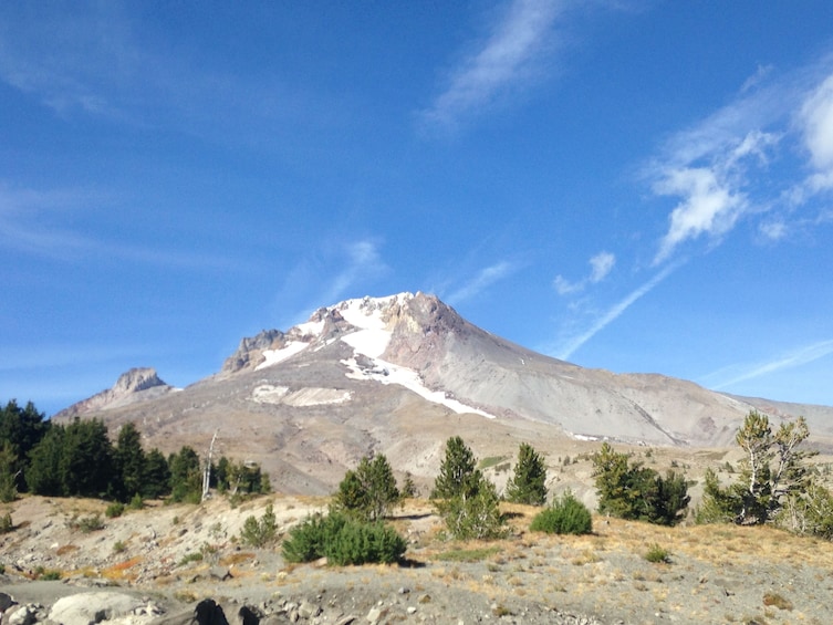 Full-Day Mount Hood & Multnomah Falls Tour