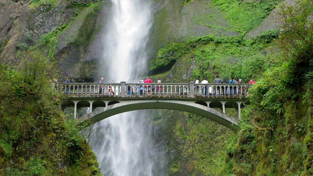 Waterfalls in Portland