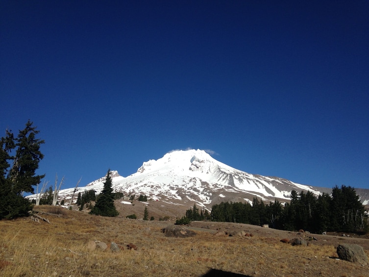 Show item 5 of 10. Full-Day Mount Hood & Multnomah Falls Tour