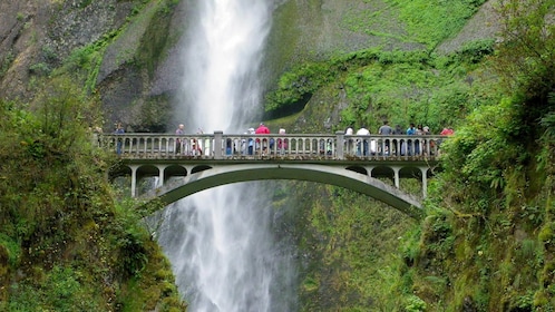 Full-Day Columbia Gorge Waterfalls Tour with Wine Tasting 