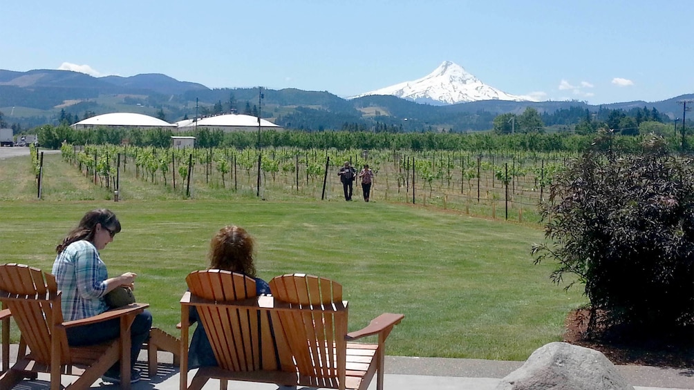 Group on a wine tasting tour in Portland, Oregon