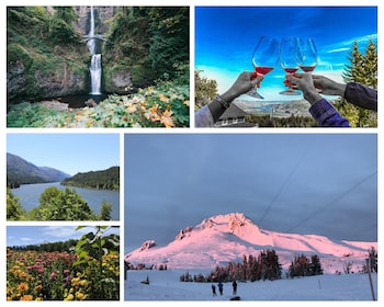 Waterfalls, Mt Hood, and Wine Tour (Tasting Fees Included)