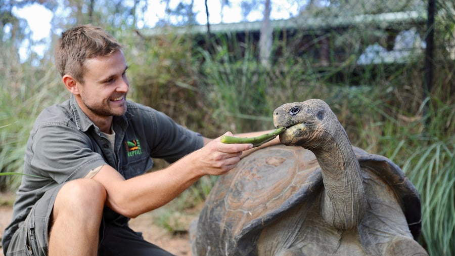 Australian Reptile Park Admission Tickets