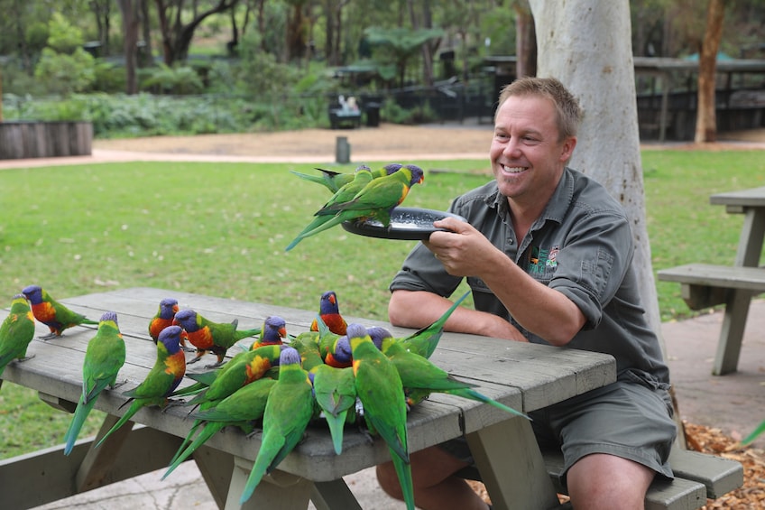 Australian Reptile Park Admission Tickets