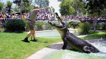 Australian Reptile Park Admission Tickets