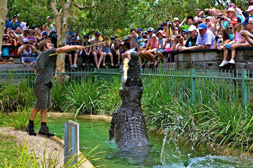Australian Reptile Park Admission Tickets