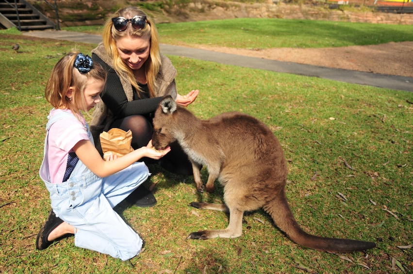 Australian Reptile Park Admission Tickets