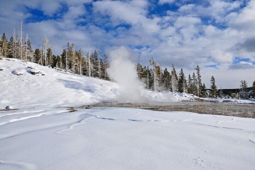 Yellowstone National Park