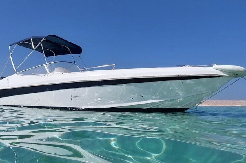 PRIVATE! | 4-hour Speed Boat Trip | Swim With Dolphins, Snorkeling & Island