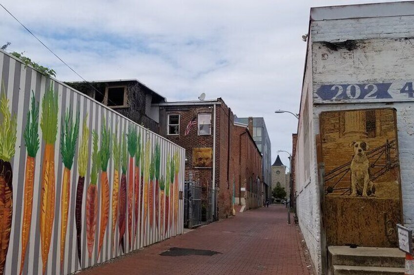 Historic Alleyways in Washington, DC