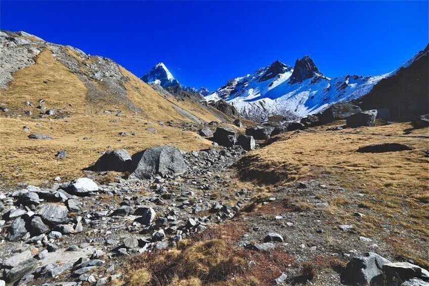 On the way to Khayer lake, Khopra trek, Roshan Photography