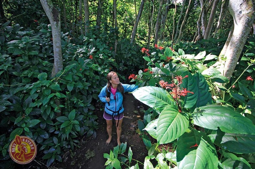 5-Hour Secret Falls Kayak/Hike 