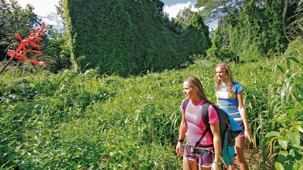 Hikers in Kauai