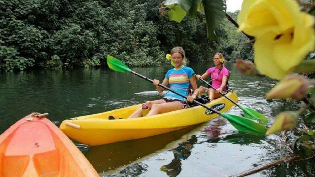 Kayakers in Kauai